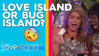 Exclusive: The Islanders are attacked by bugs | Love Island Australia 2019