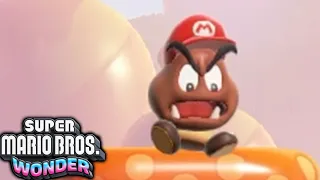 Super Mario Bros Wonder: The Missing Wonder Seeds