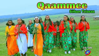 Sifaan Tolasaa - Qaammee - New Oromo cultural video - New Ethiopian Music.