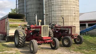 Farmall 1206 and 706 filling silo