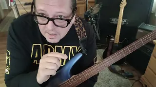 AEROSMITH Love In An Elevator Bass Lesson & Partial Cover