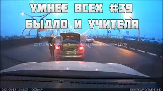 УМНЕЕ ВСЕХ #39. БЫДЛО И УЧИТЕЛЯ НА ДОРОГЕ