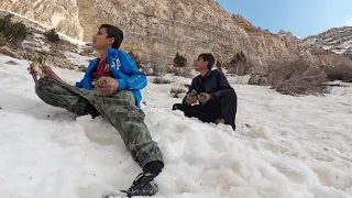 Finding a rare medicinal plant in the snowy mountains