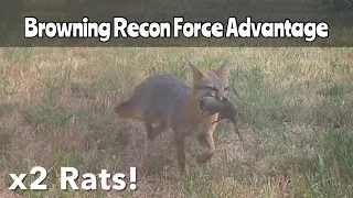 Browning Recon Force Advantage: June 1-20, 2023