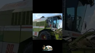 За нового комбайна поехал и старый Claas Dominator 98