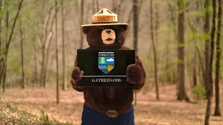 Smokey Says: Only You Can Help Prevent 2022 Wildfires in Georgia - Here’s How