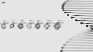 Atoms vs DNA: Atoms Size Comparison by Covalent Radius