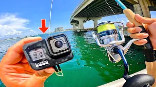 I TOSSED my GO PRO! Under The GULF Bridge and Saw This!