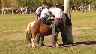 "Enano Pepo" en Piedra del Águila