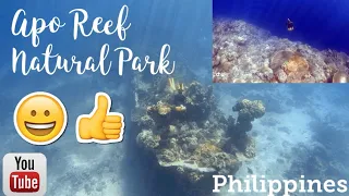 Apo Reef 2019 (Ultimate Free Diving)