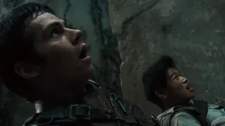Thomas and Minho survive The Maze [The Maze Runner]