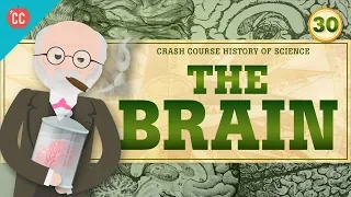 The Mind/Brain: Crash Course History of Science #30