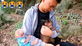 Dad cried when he had to release monkey JENLY back into the forest