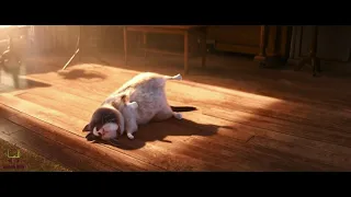 Funny cat scene | I'm gonna scratch the sofa | Soul 2020