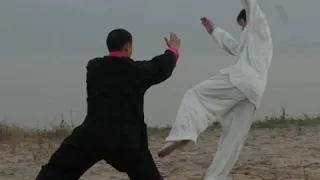 TaiChi Taiji Taijiquan