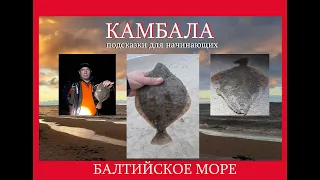 камбала. супер клев. Балтийское море