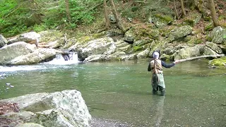 DRY FLIES For WILD TROUT With A Glass 2 Weight Rod!