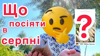 Що можна посіяти в серпні⁉️і для врожаю і для користі 👍