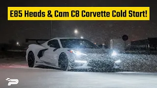 Paragon E85 Heads & Cam C8 Corvette Winter Cold Start!