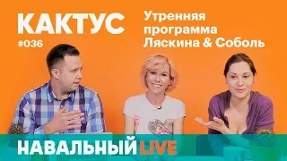 Кактус #036. Тема выпуска — так называемая «реновация» и снос пятиэтажек