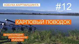 КАРПОВЫЙ ПОВОДОК. АЗБУКА КАРПФИШИНГА