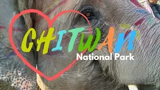 NATIONAL PARK CHITWAN SAFARI | SAURAHA | SAFARI ELEPHANT RIDE | NEPAL