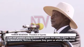 Museveni calls for adoption of commercial agriculture in Nakaseke