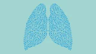 Shorter patients are less likely to receive lung transplants