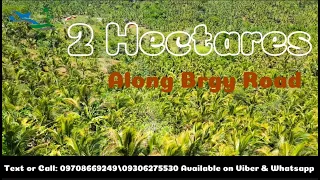 VLOG #109 | 2HECTARES | 70% FLAT 30% SLOPE | 75 Per Square Meter | 1.5 Million Pesos |