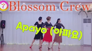 [블라썸]Apayo (아파요) Line dance||블라썸강사샘