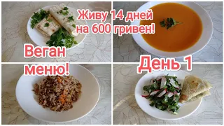 Живу 14 дней на 600 гривен! Веган меню! День 1