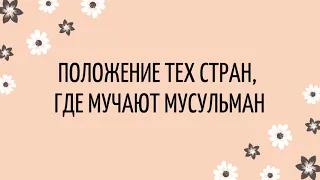 852. Положение тех стран, где мучают мусульман