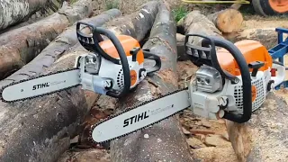 Stihl MS211 C-BE vs. Stihl MS291 Chainsaw