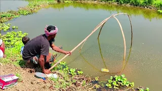 Traditional net fishing video - Professional fish hunter catching fish by net (Part-36)
