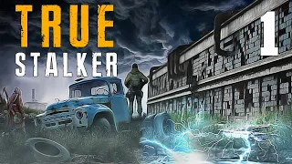 TRUE S.T.A.L.K.E.R. #1 ОНА НЕ ОТПУСКАЕТ...