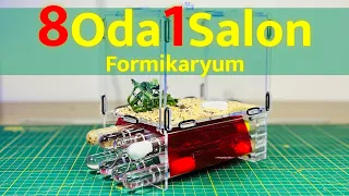 8 Oda 1 Salon Formikaryum | Fazla Detaylı Transfer :) | Messor Proje 1 Günlük 3