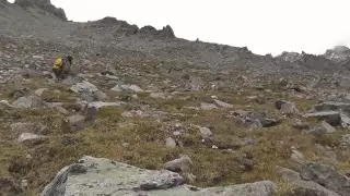 Chasing Dall Sheep in the Alaska Range