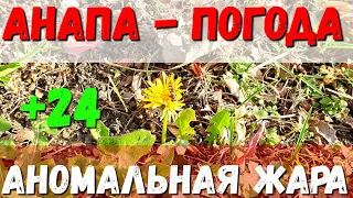 #АНАПА. ПОГОДА 23.12.2019 АНОМАЛЬНАЯ ЖАРА. КАК ТАКОЕ МОЖЕТ БЫТЬ? ПРОЕЗД ЗОЛОТИСТЫЙ #ДЖЕМЕТЕ