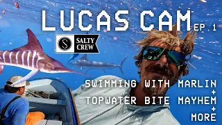 LUCAS CAM Ep. 1 || BAJA: Swimming with Marlin, Topwater Bite Mayhem [4K]