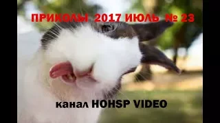 ПРИКОЛЫ 2017 ИЮЛЬ № 23 ржака до слез угар прикол ПРИКОЛЮХА HOHSP VIDEO