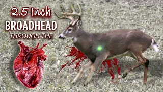 Archery Heart Shot on an IL Big Buck! | Bowmar Bowhunting |