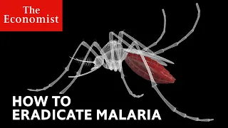 How to defeat malaria