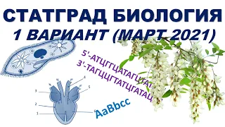 СТАТГРАД БИОЛОГИЯ | 1 вариант | Март 2021