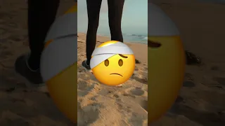 WENN DU DIESES TIER AM STRAND SIEHST 🏖 LAUF UND HOL HILFE😨#youtube #shorts