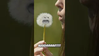 Dandelions get Thanos Snapped (Dandelion Dread)