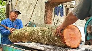 Penggergajian kayu mahoni, paling mudah kalau hanya di buat usuk