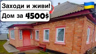 🇺🇦 Заходи и живи! Дом в селе за 4500$ Продажа недвижимости за копейки! Всё есть! Уютное Тихое село