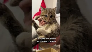 Ох что дома сейчас творииитсяяя 🙀