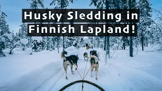 Arctic Trip - Husky Sledding in Finnish Lapland!