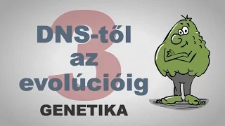 A DNS-től az evolúcióig - csak egyszerűen (3. rész)